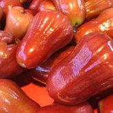 Rosenæbæe (roseapple) Sjumpu 